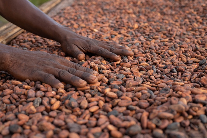 IAP Modal Cocoa - Header Pods On Rack