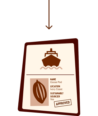 cocoa step 5