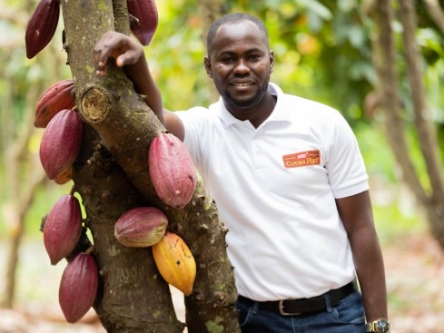 cocoapods man standing cocoa pods