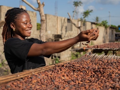 IAP Modal Cocoa - Content Drying Pods IAP Modal Cocoa - Content Drying Pods