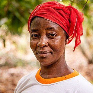 Cocoa Farming