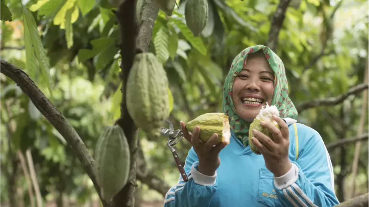 Nestle cocoa plan